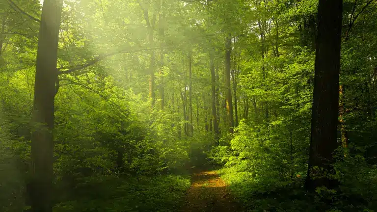 Naturreservat Nynäshamn, Sorunda, Ösmo, Torö och Muskö