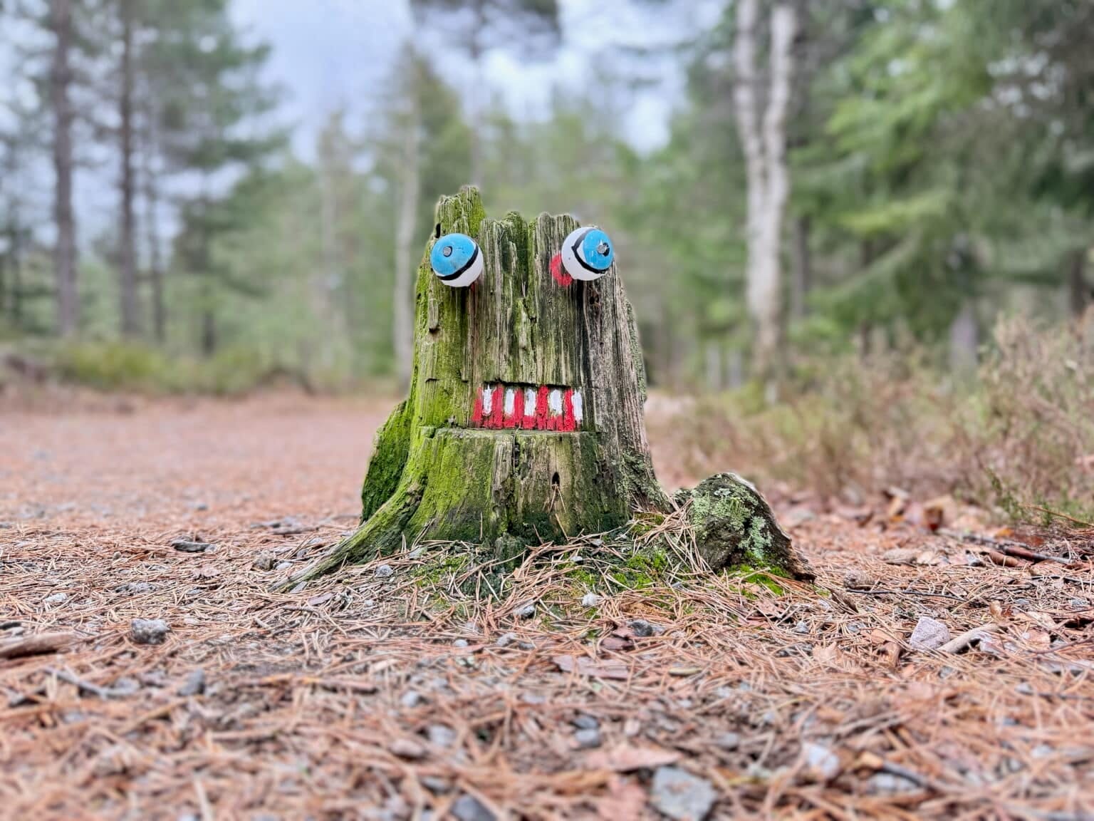 Monsterstigen i Sorunda