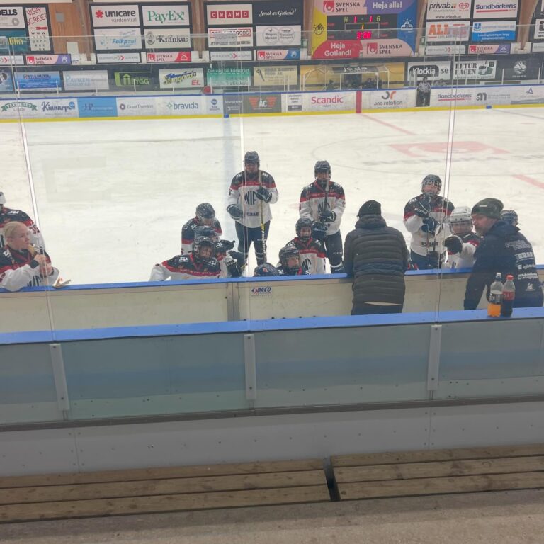 Nynäs Hockey