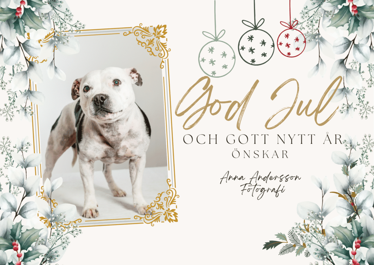 Julmarknad på Lantbodens Hund & Hälsa