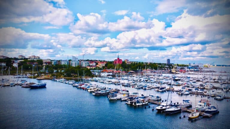 DJI 0033 1 768x432