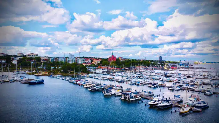 DJI 0033 1 768x432