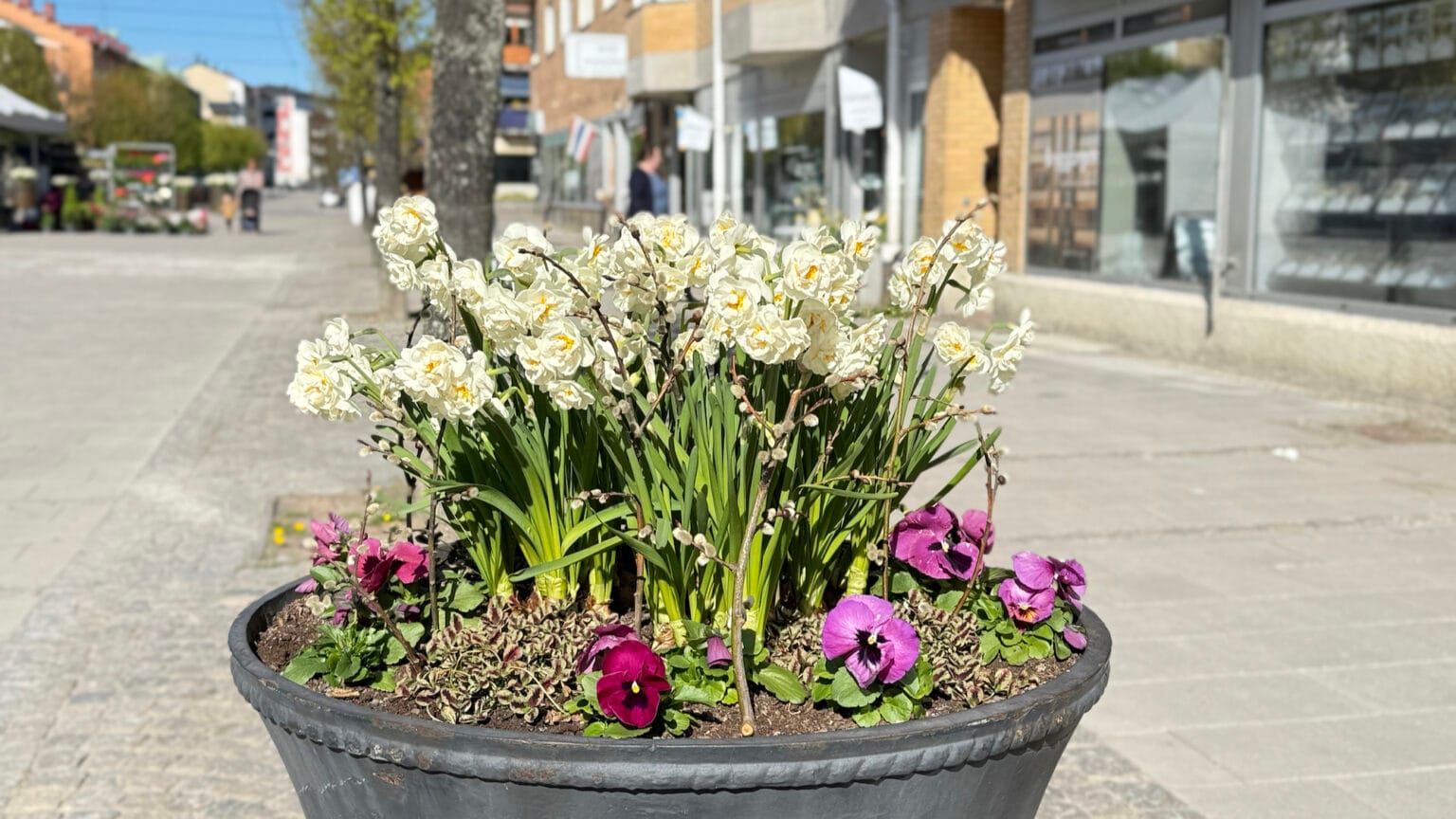 Vad händer i Nynäshamn 8 maj 2026