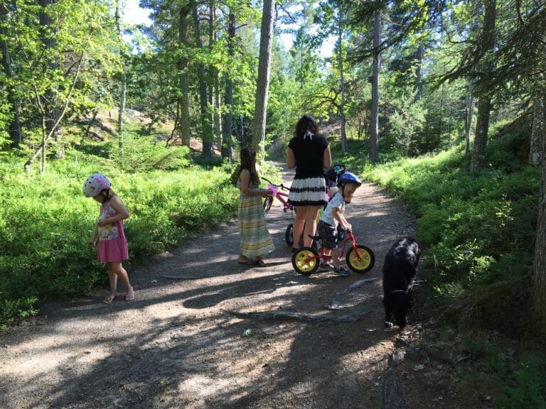 IMG 0711 768x576
