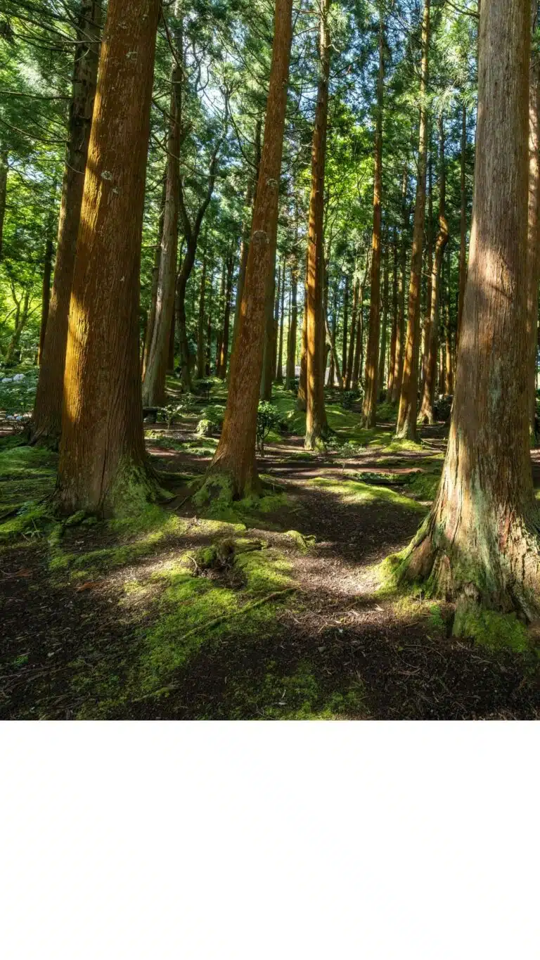 naturbild 768x1365