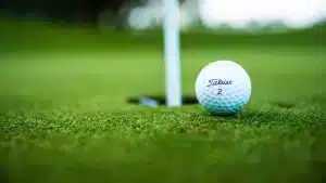 Golf Nynashamn Sorunda Osmo Toro och Musko. 1 1 300x169 1